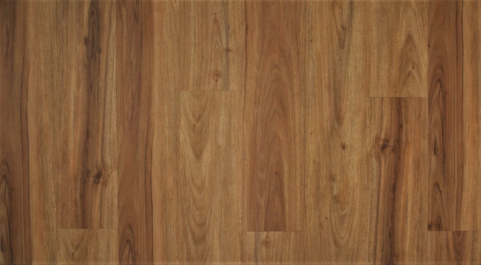 NSW Spotted Gum
