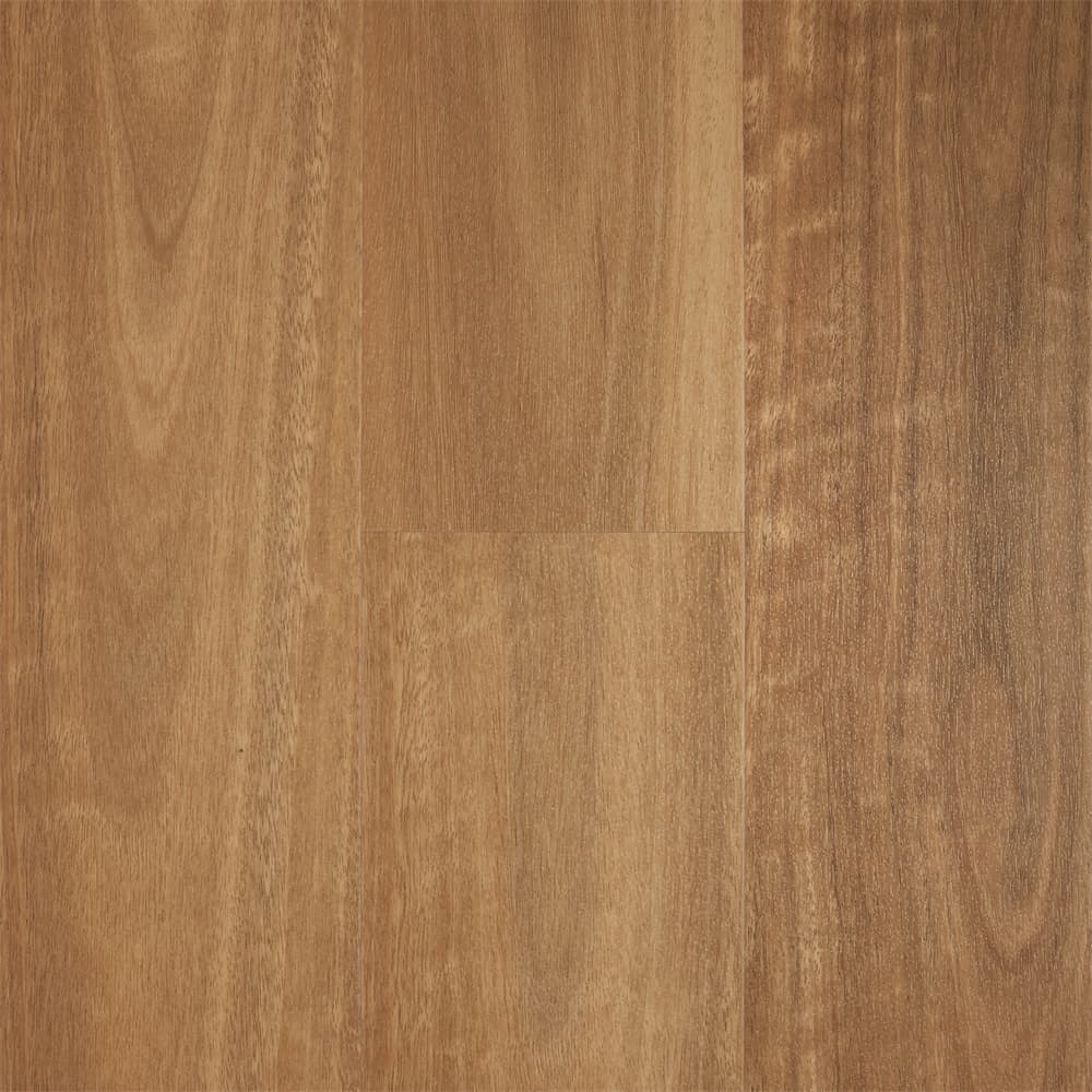 Spotted Gum