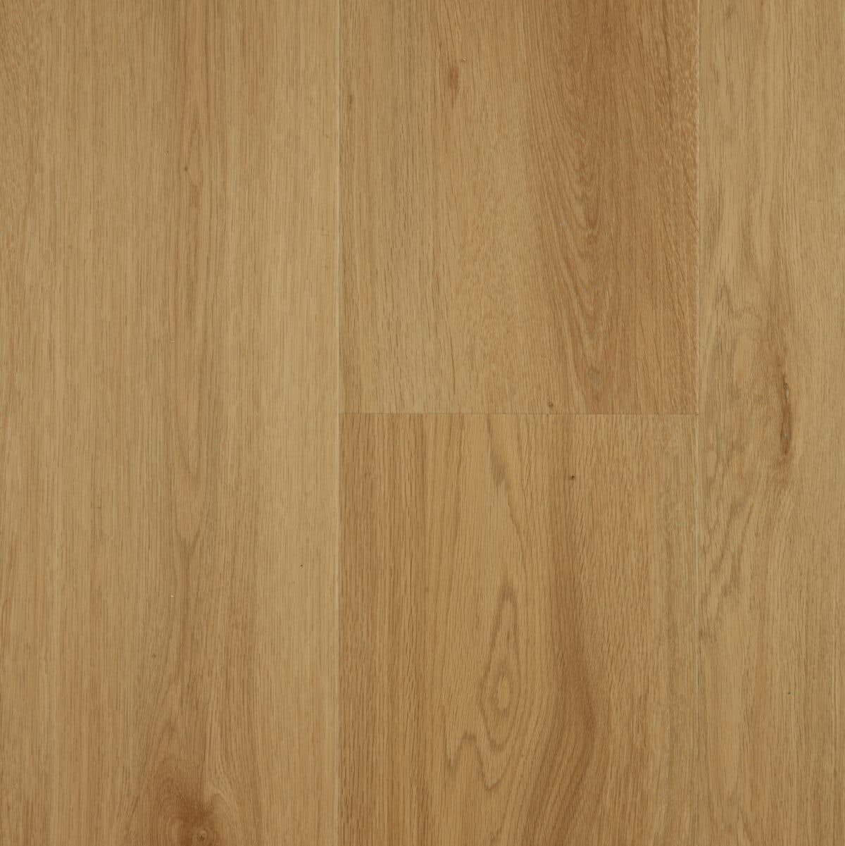 Mountain Oak