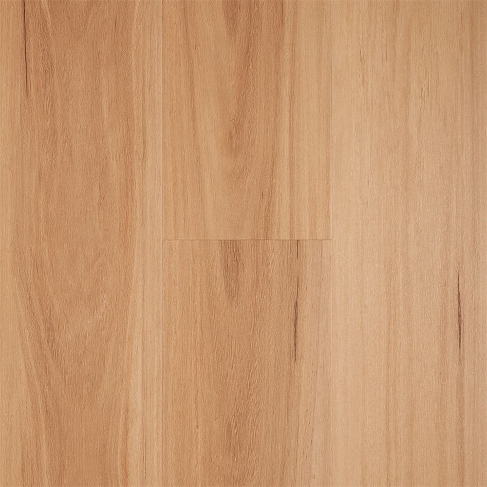 Northern Blackbutt