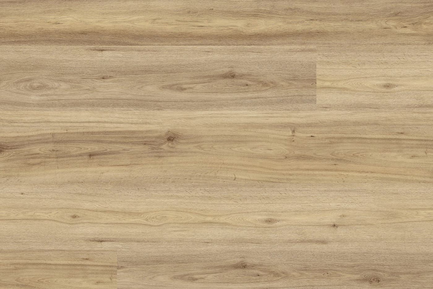 Spotted Gum