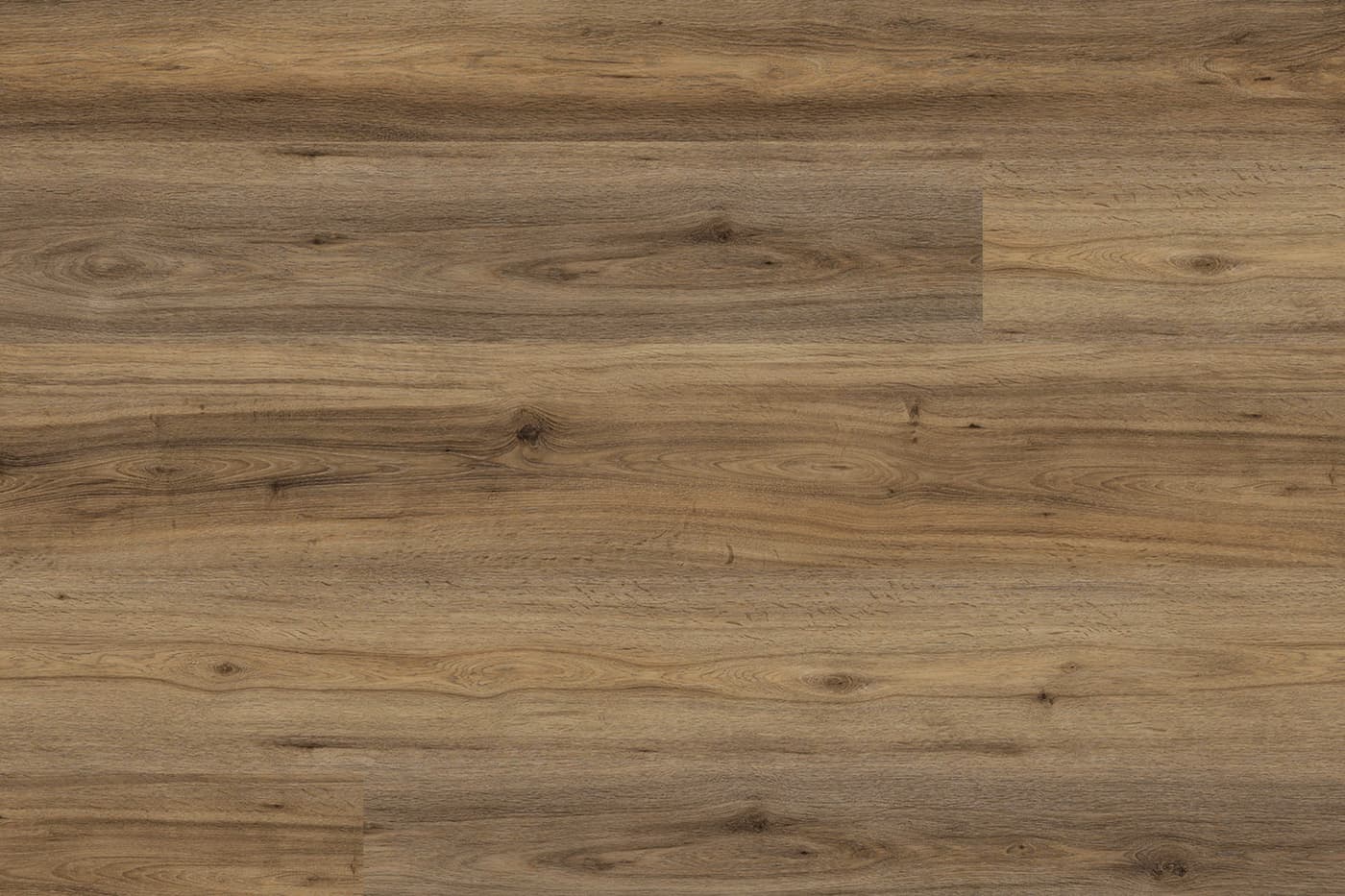 NSW Spotted Gum