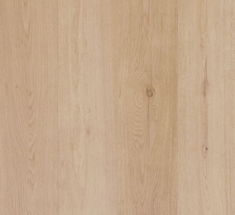 Sierra Oak