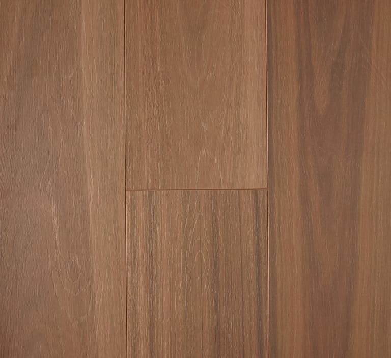 Spotted Gum