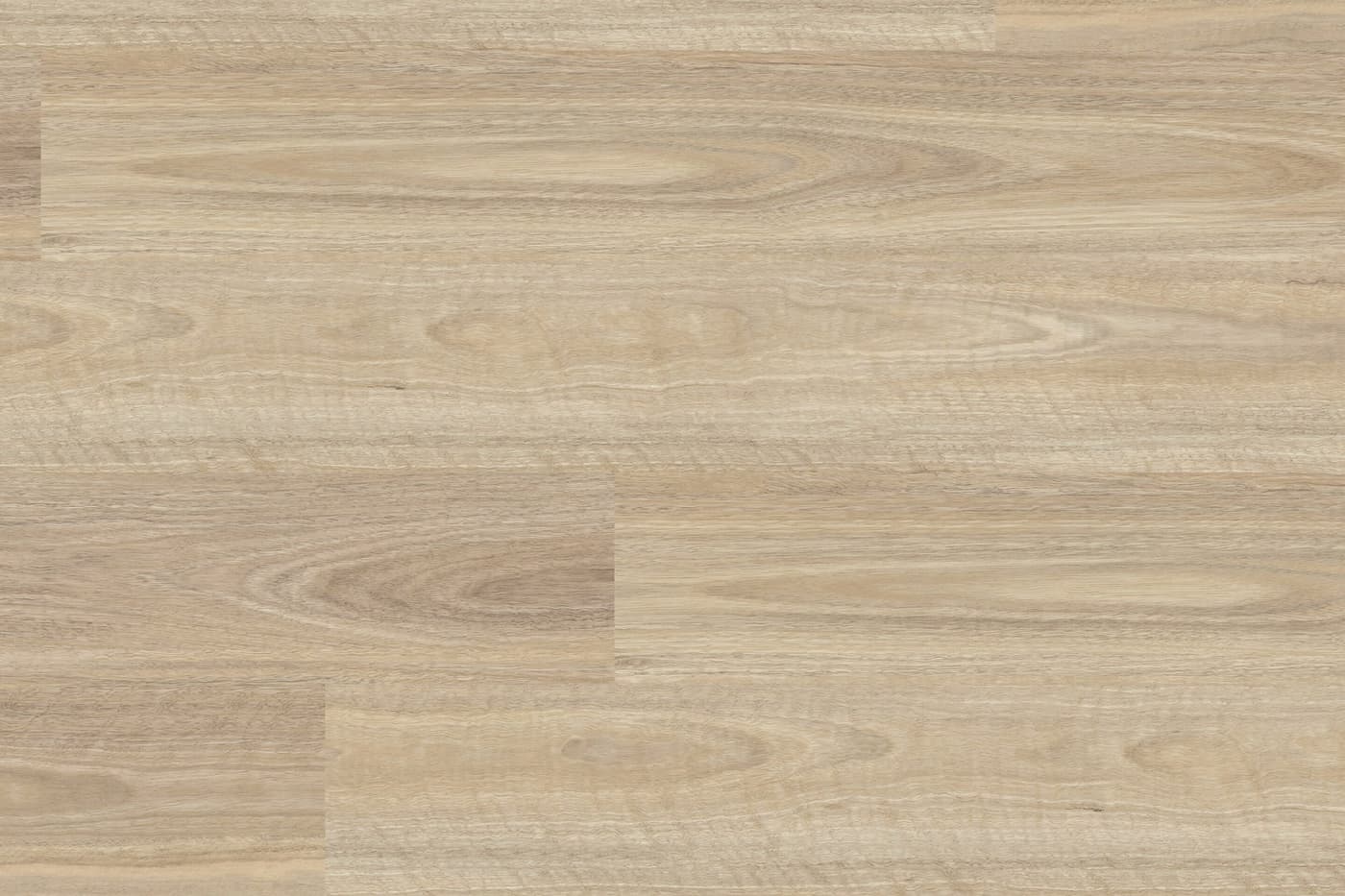 Royal Gum