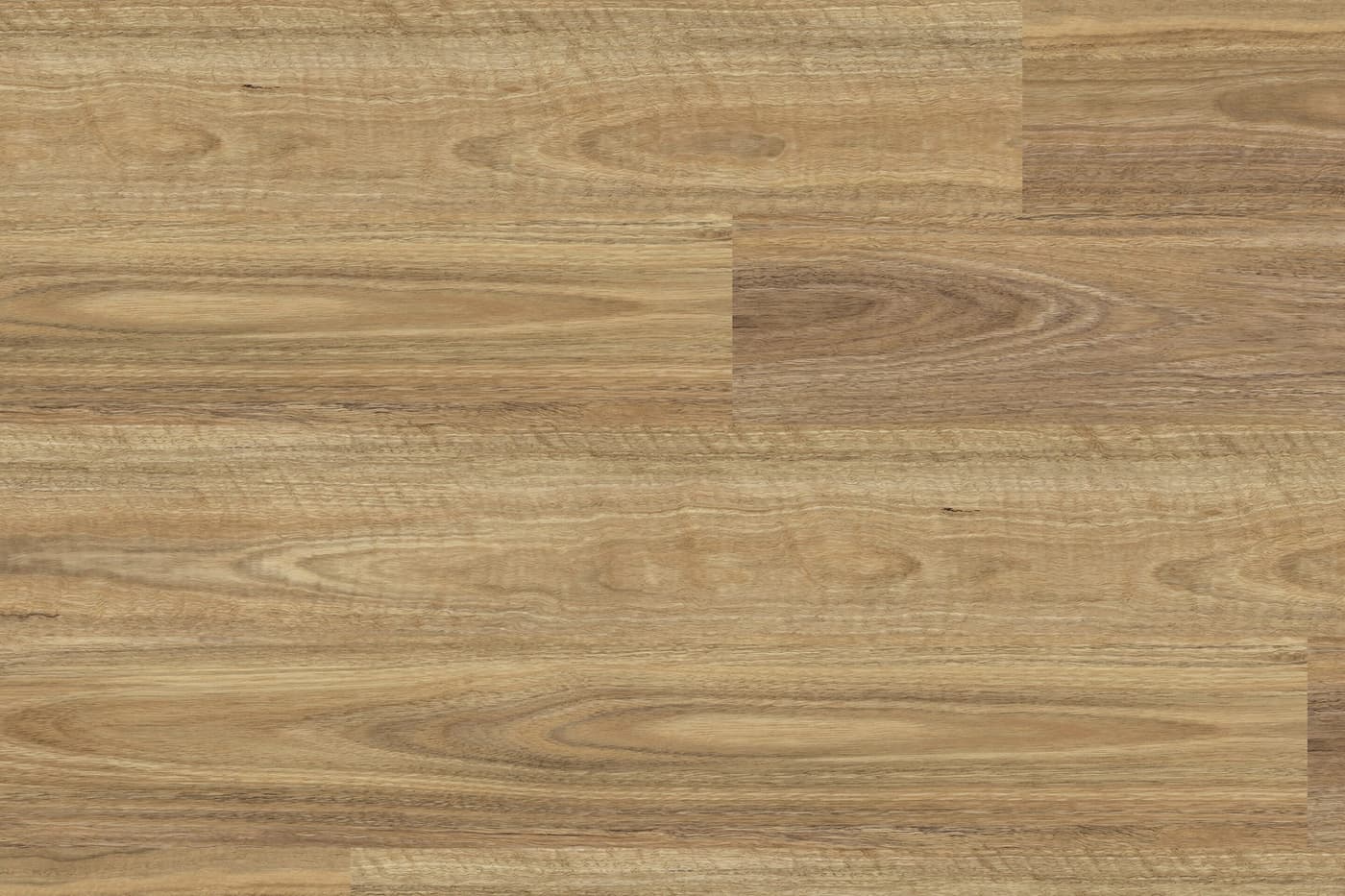 NSW Spotted Gum