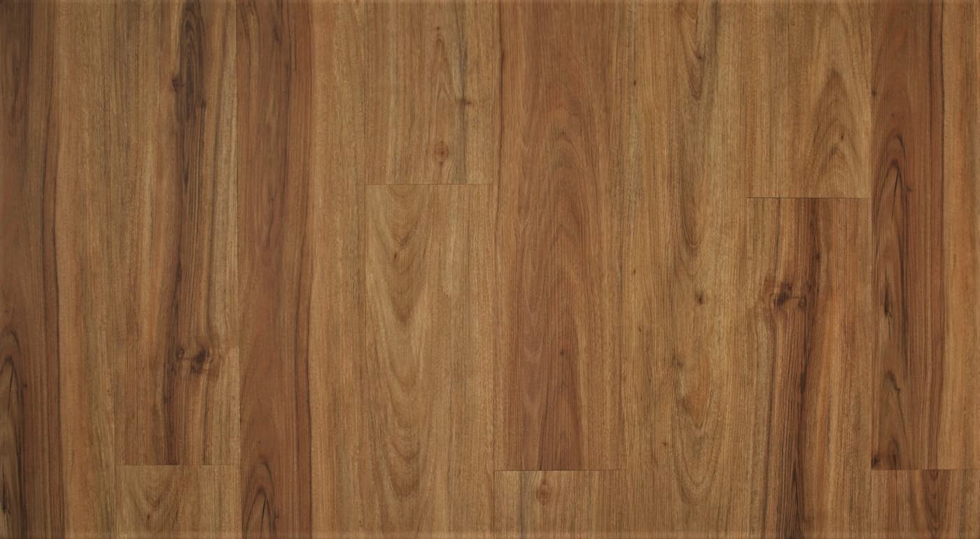 NSW Spotted Gum