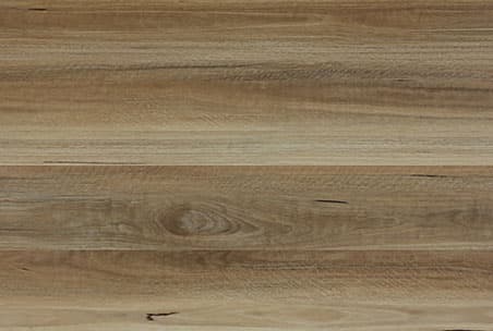 NSW Spotted Gum