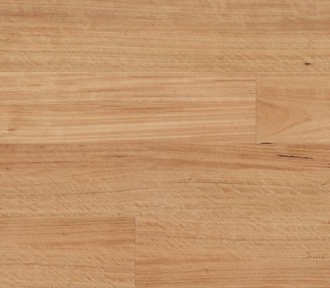 Blackbutt