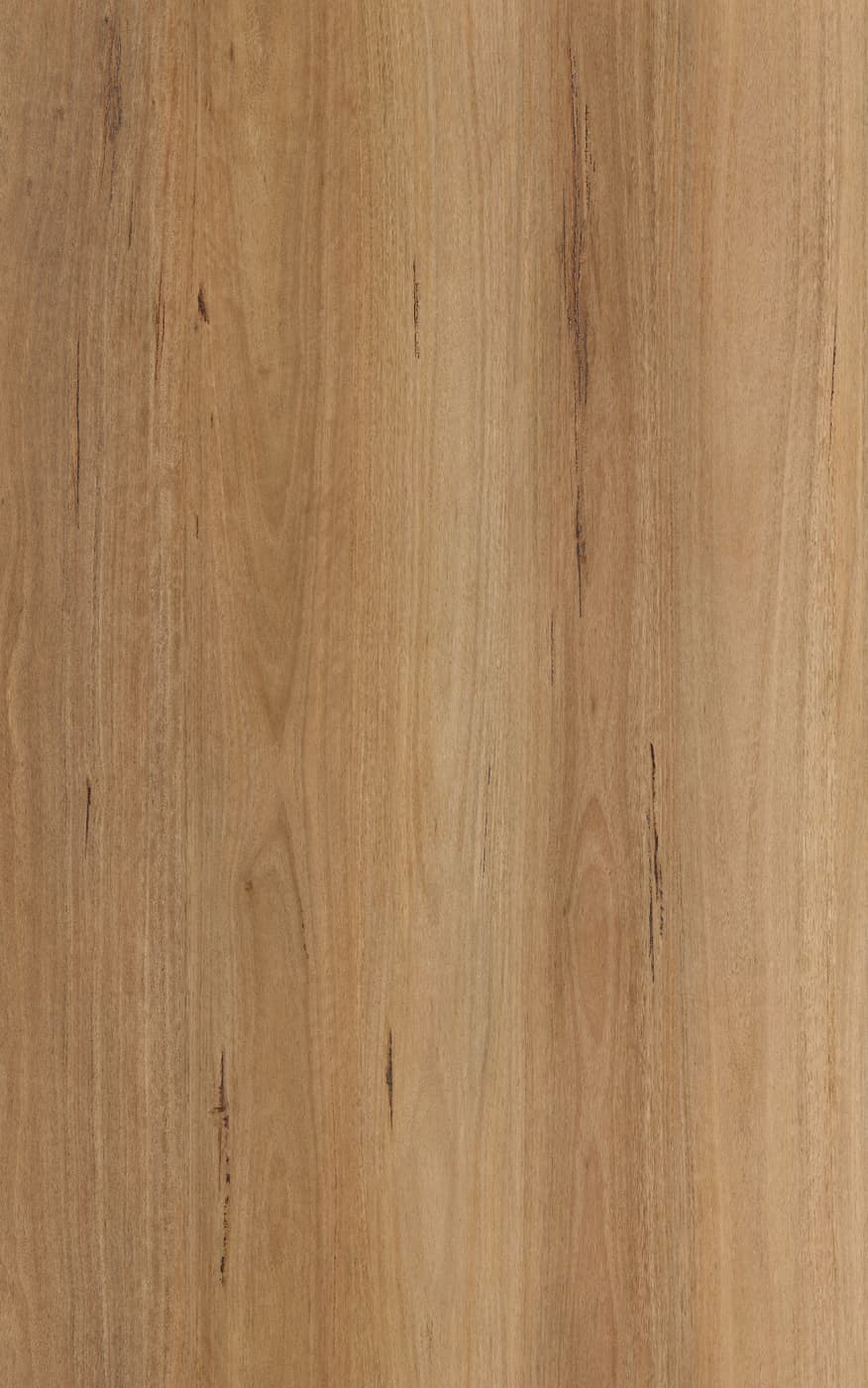 NSW Blackbutt