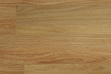 Aqua Spotted Gum