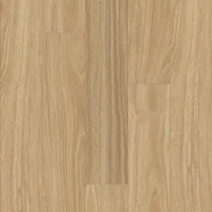 QLD Spotted Gum