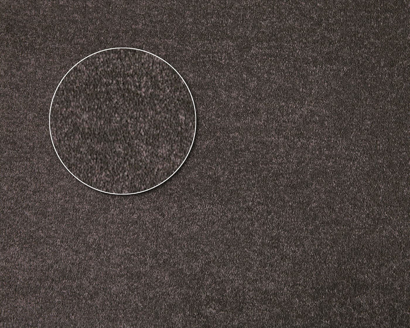 Kingston - Ash - Carpet > Kingston Melbourne