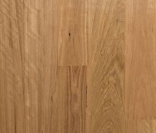 Select Australian Timber in Blackbutt - Engineered flooring sample