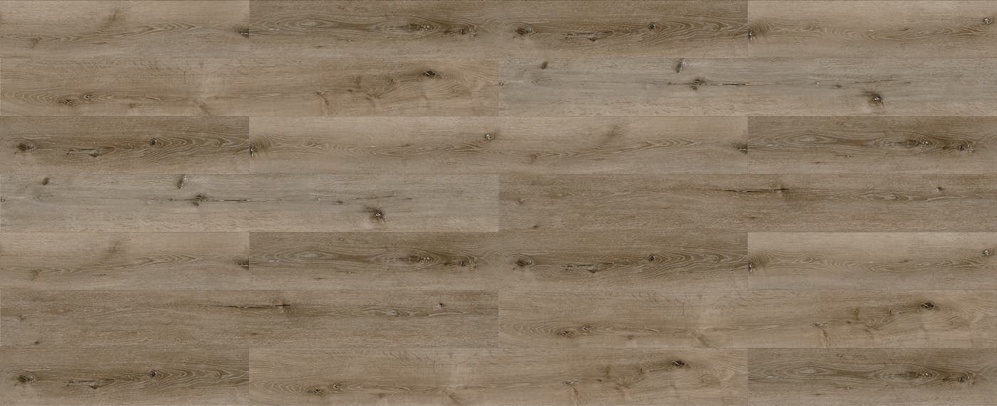 Spanish Oak