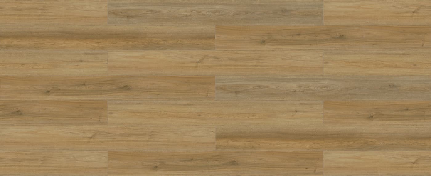 Spotted Gum