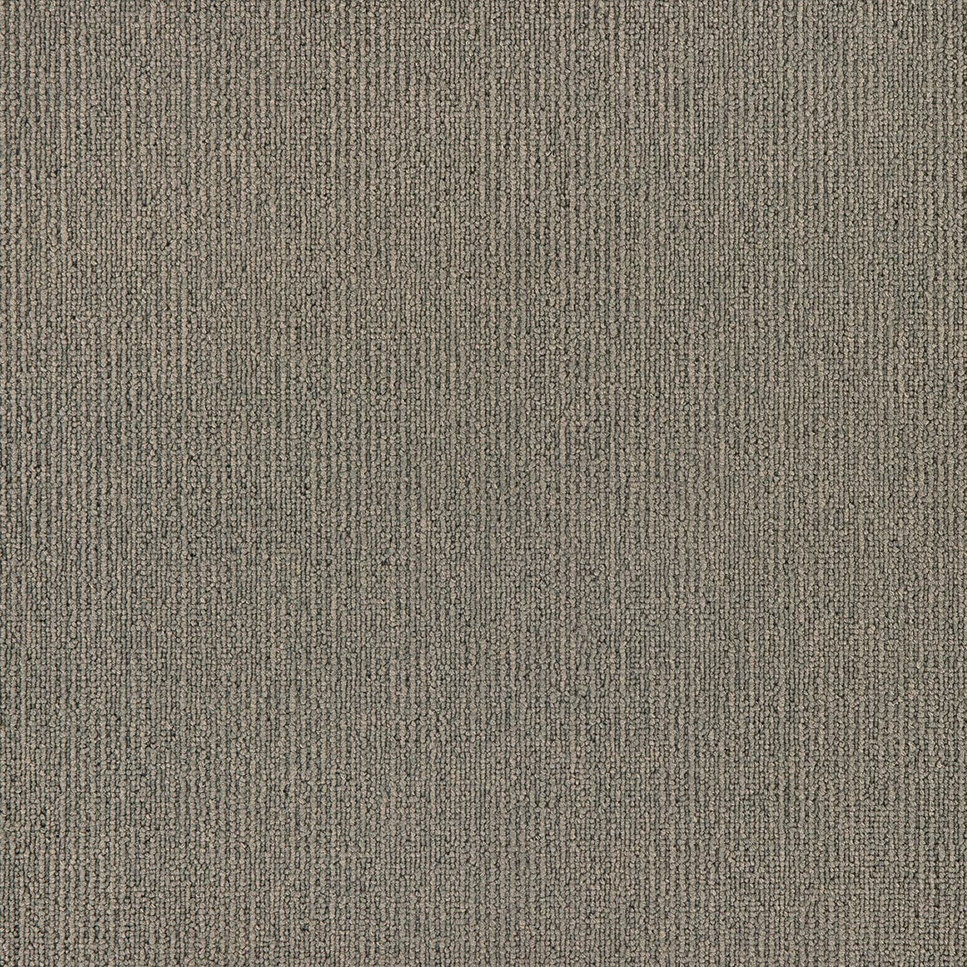 Elegance - Putty - Carpet Tiles > Elegance Melbourne