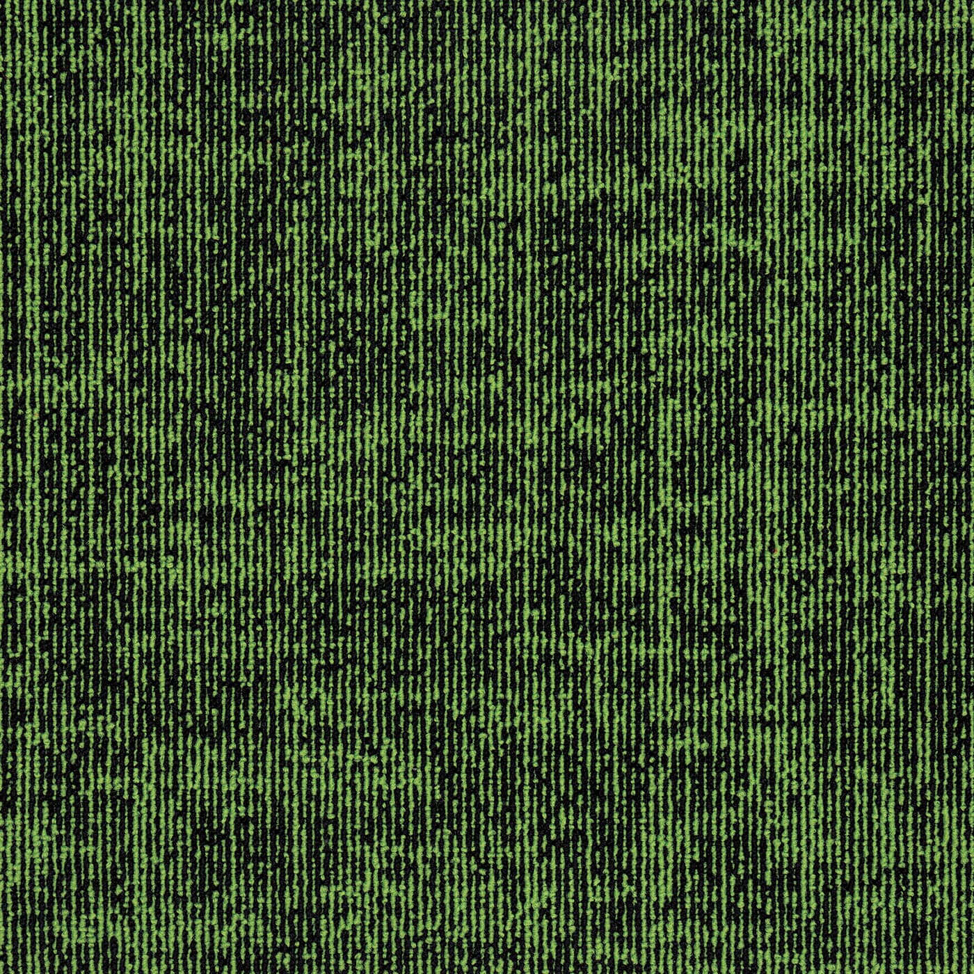 Moss