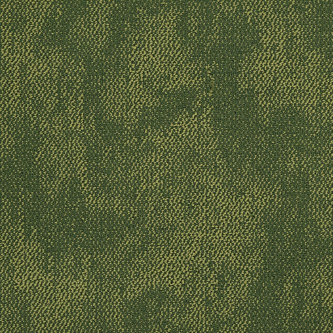 Astral Fern