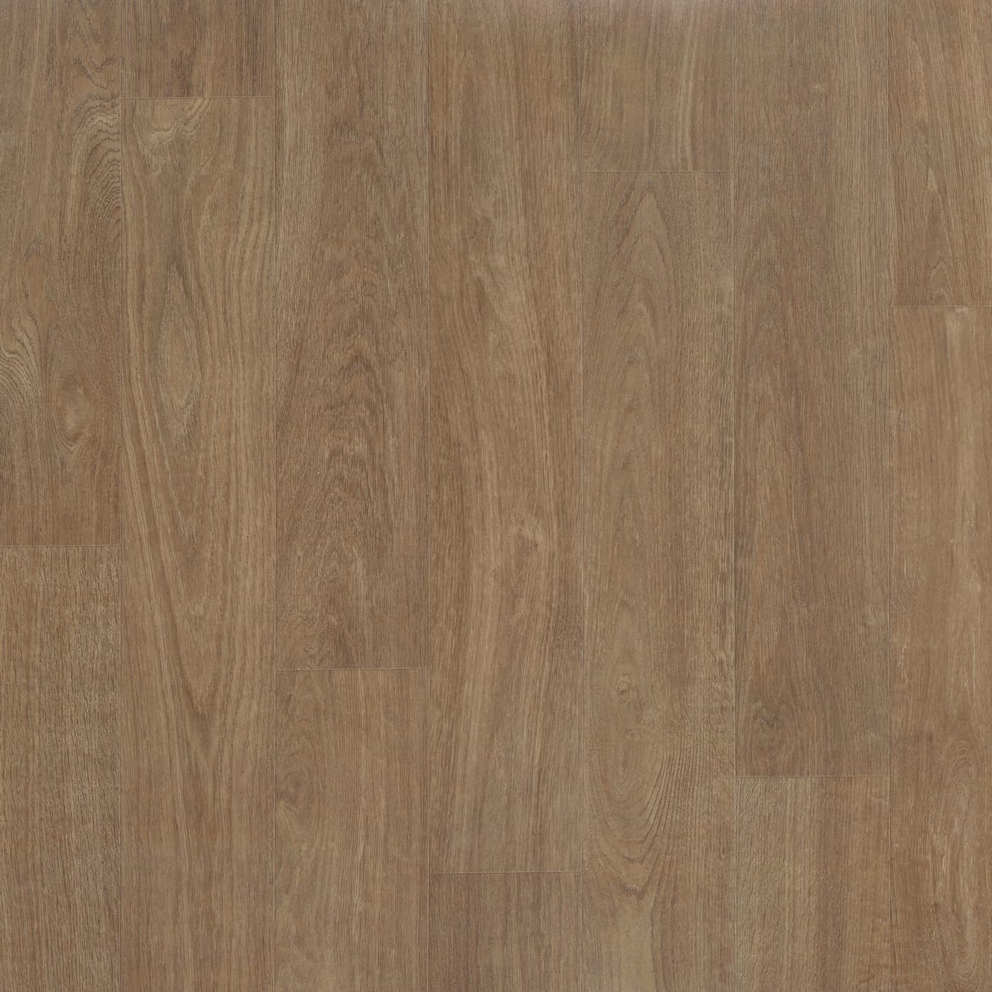 Bleached Oak