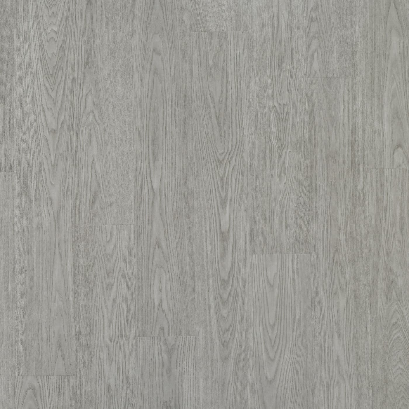 Oyster Ash