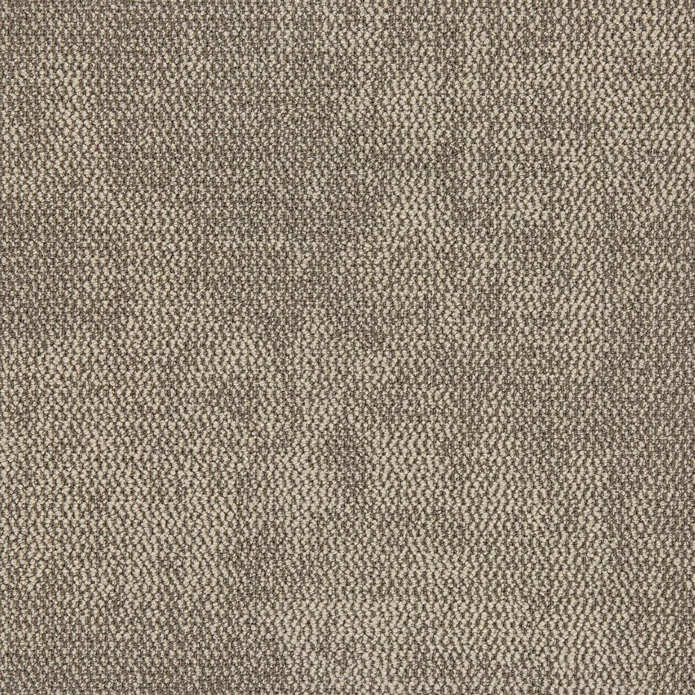 Nova - Scope - Carpet Tiles > Nova Melbourne