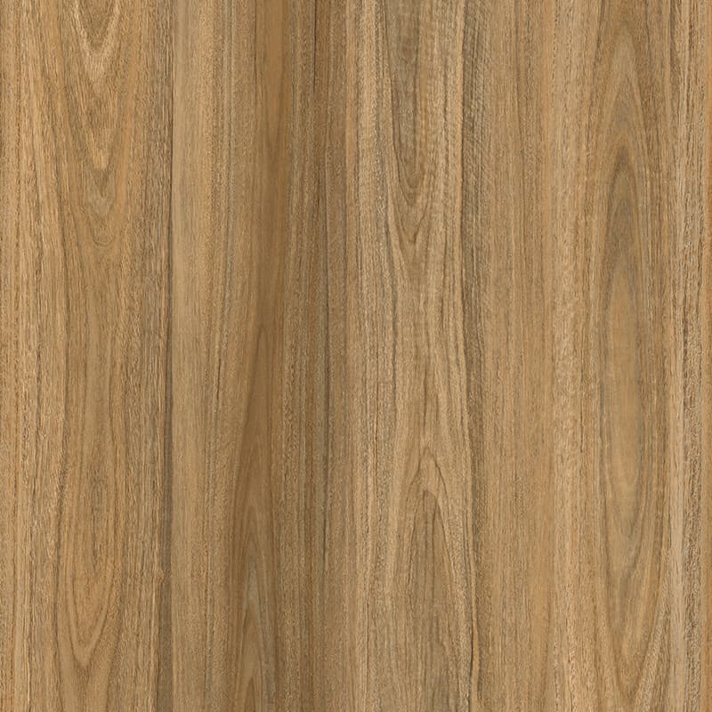 Blonde Spotted Gum