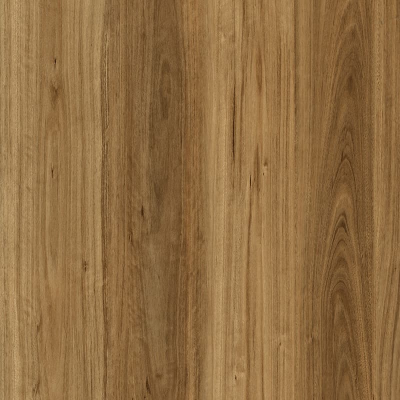 Classic Blackbutt