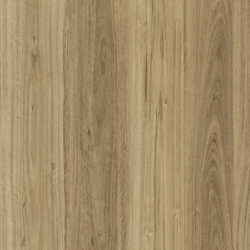 Limed Blackbutt