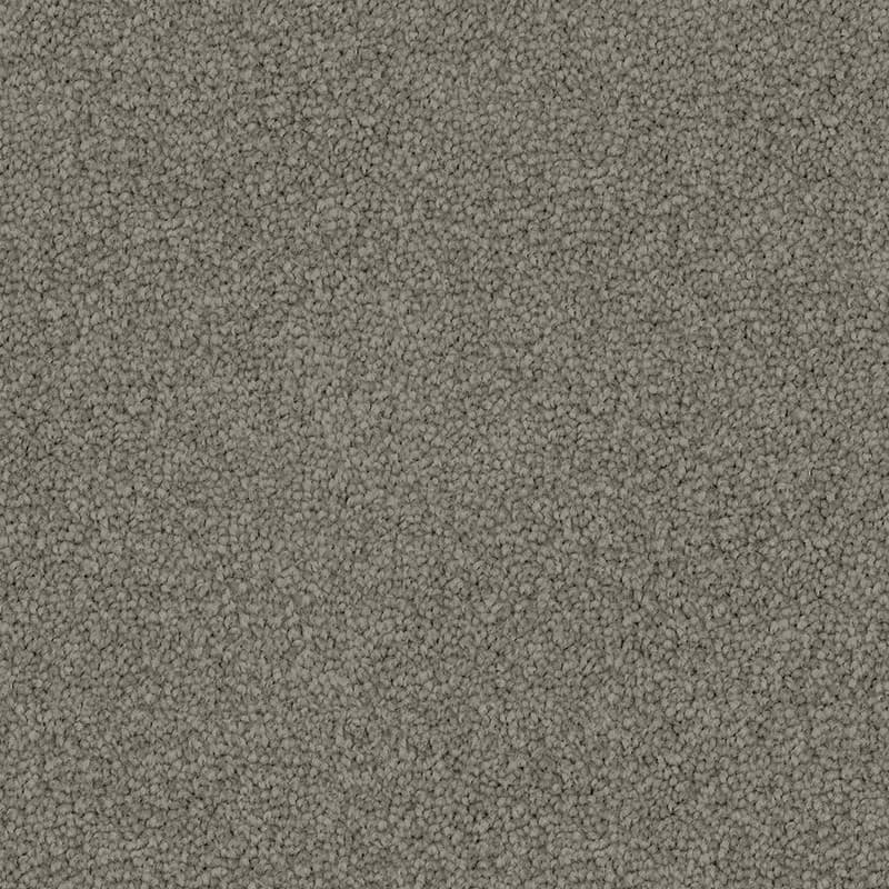 Arctic Grey