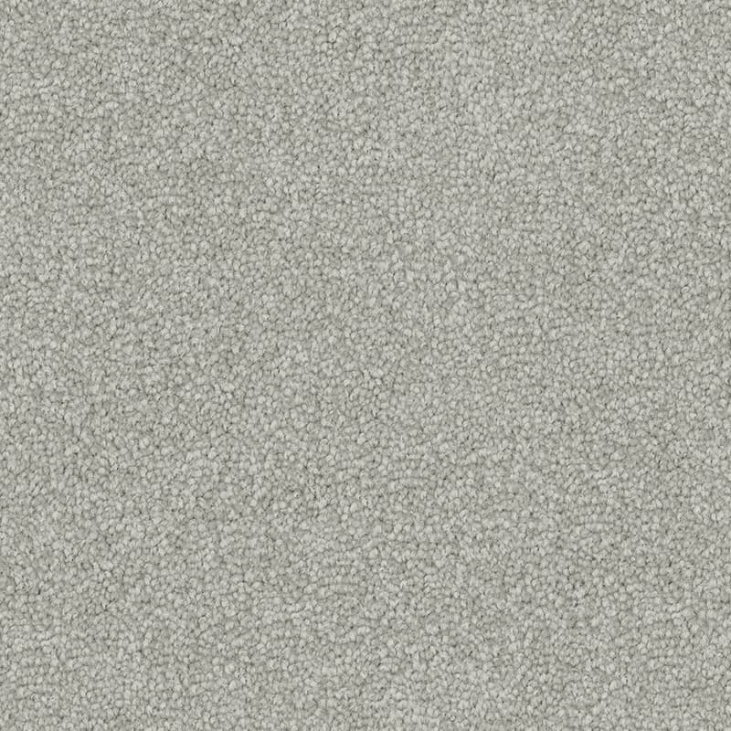 Silver Berry