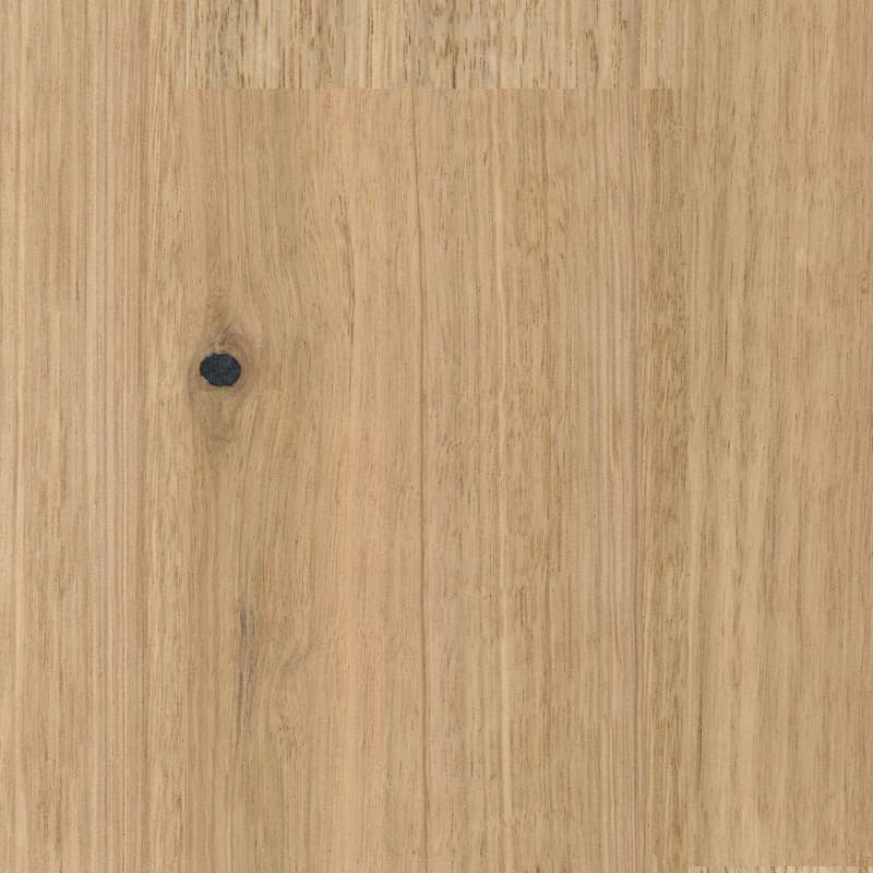 Blackbutt