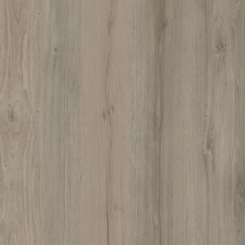 Silver Hardwood
