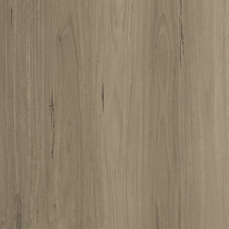 Stony Blackbutt