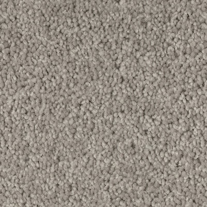 Dove Grey