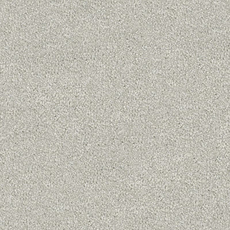 Serina in Hillside - Carpet flooring sample