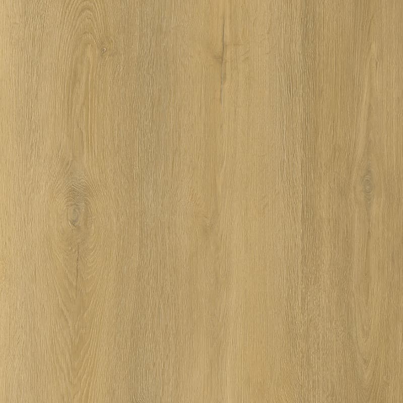 Aurora Pine