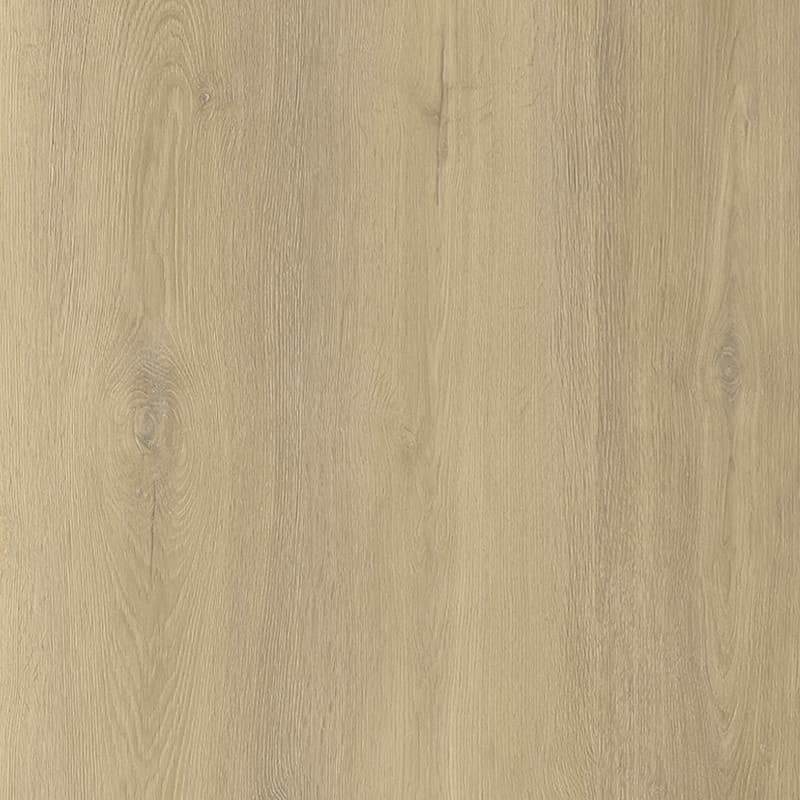 Lunar Ash