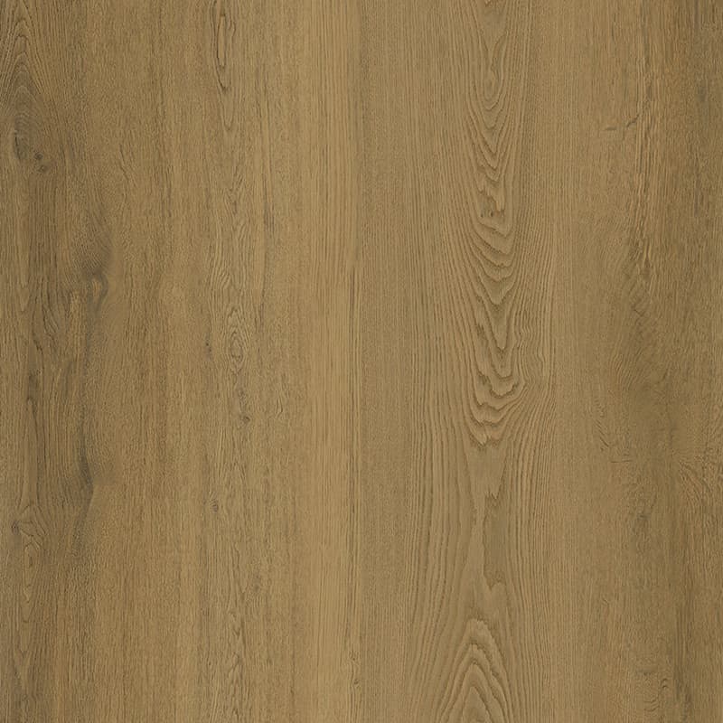 Stellar Oak