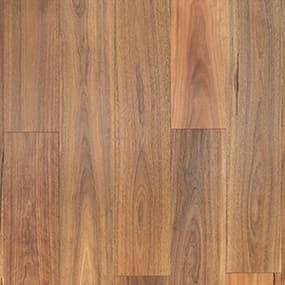 Spotted Gum