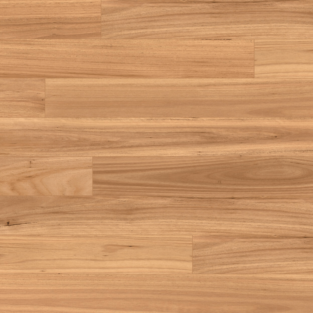 Square Blackbutt