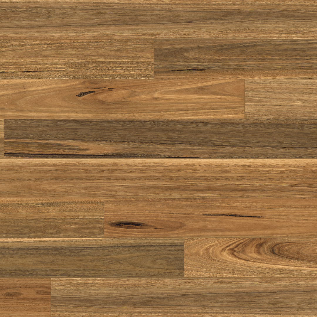 Square Spotted Gum