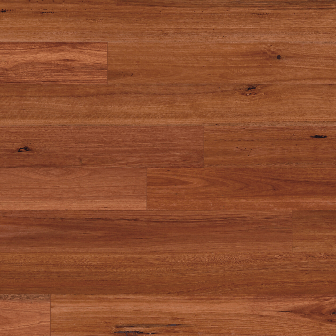 Square Sydney Blue Gum