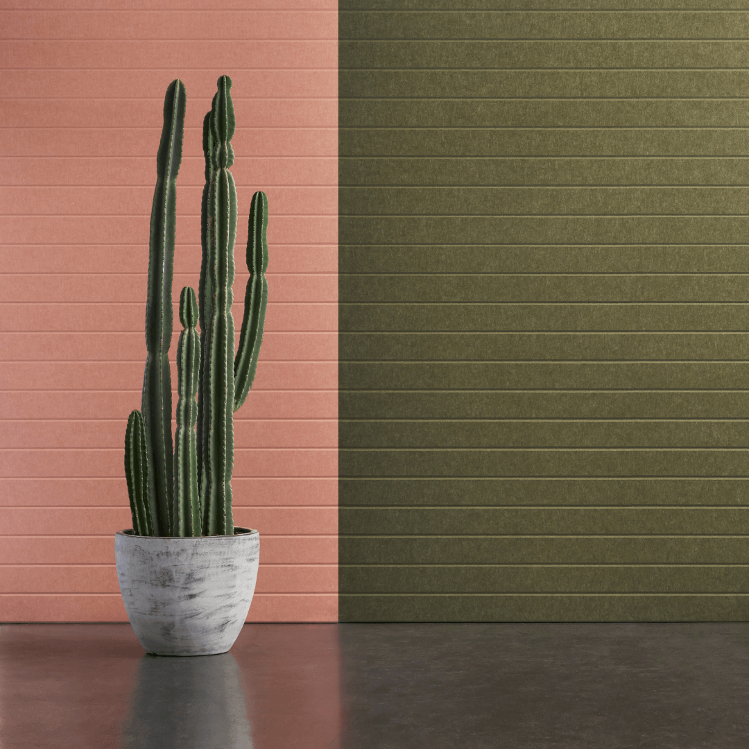 Echopanel® Latitude