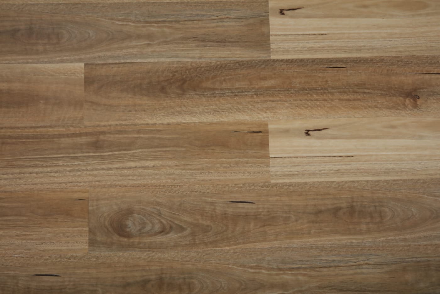 Spotted Gum