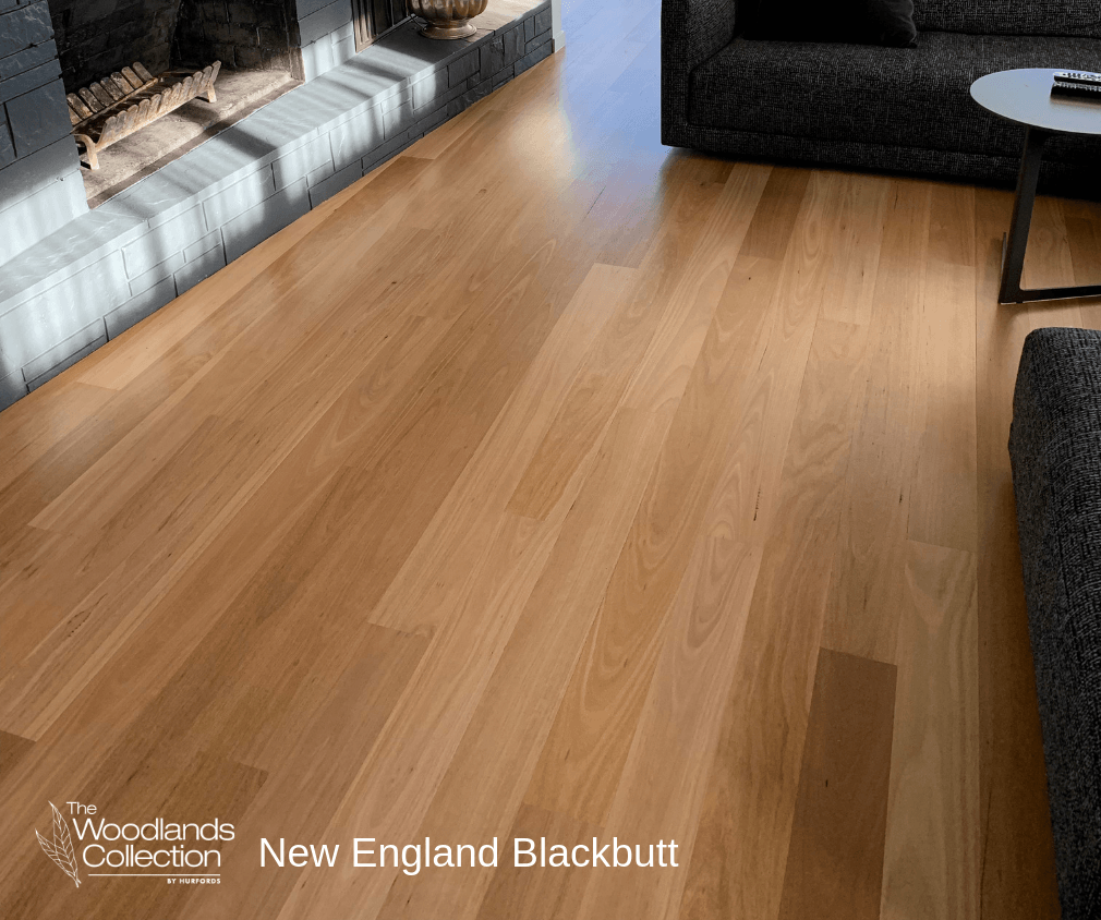 New England Blackbutt
