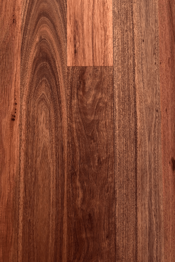 Grey Ironbark