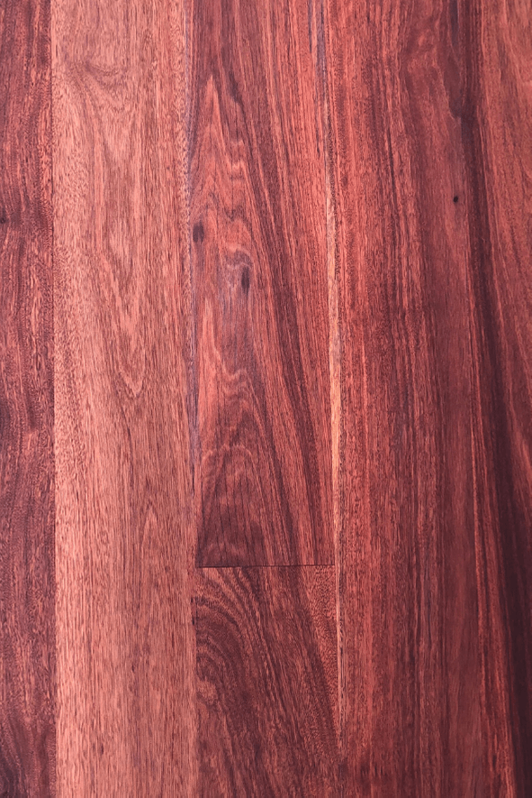 Red Ironbark