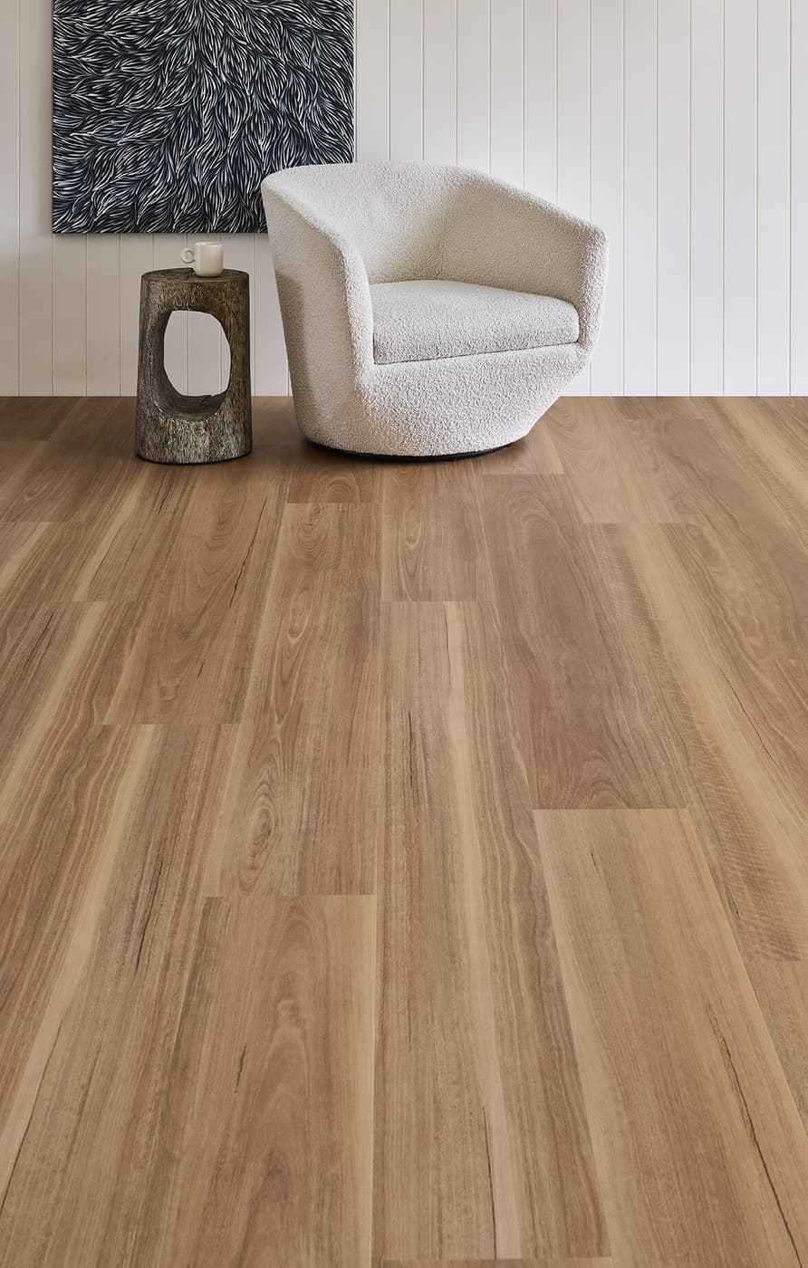 Spotted Gum