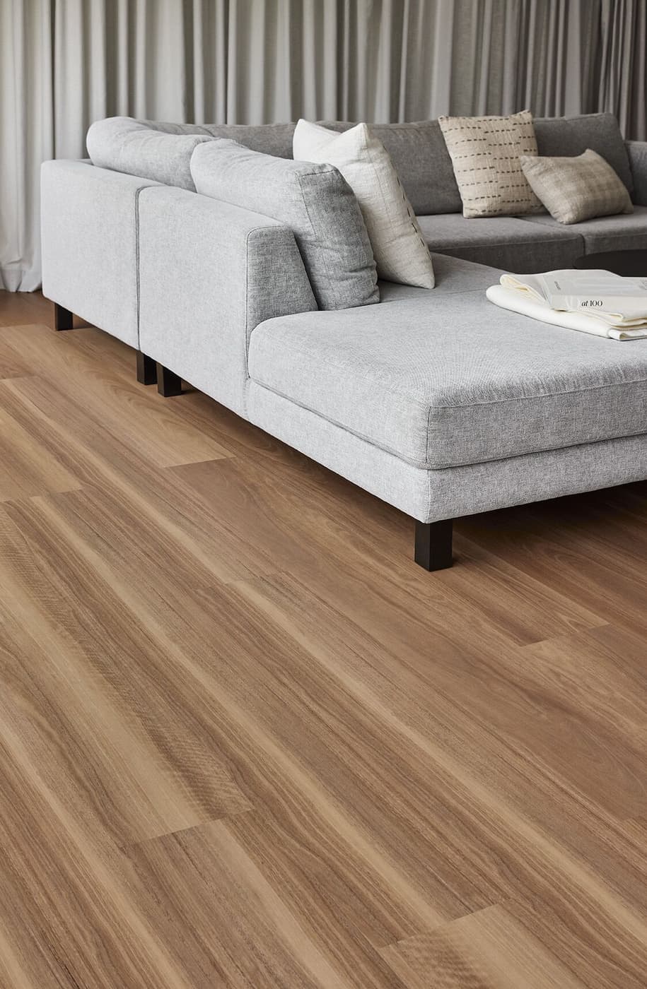 Coastal Spotted Gum